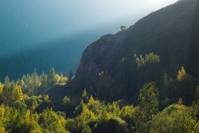 Scenic view of trees and mountains against sky