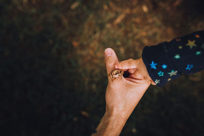 Cropped image of hands holding insect