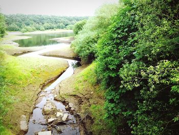 Scenic view of lake