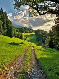 Scenic view of landscape against sky