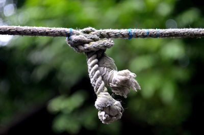 Close-up of rope tied up on air