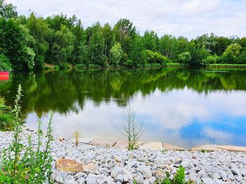 Scenic view of lake by trees against sky