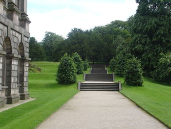 Trees growing in lawn