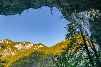 nature
