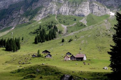 Scenic view of trees and houses against mountains