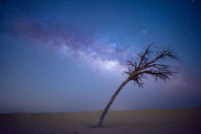 Photograph of milky-way in desert of the united arab emirates