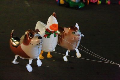 Close-up of cat