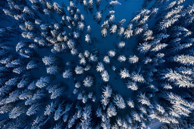 Full frame shot of frozen trees against blue sky