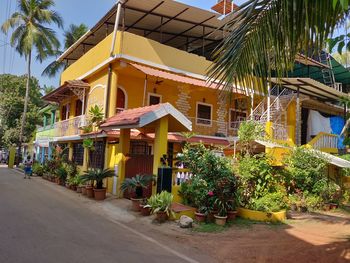 Street amidst plants and buildings in city
