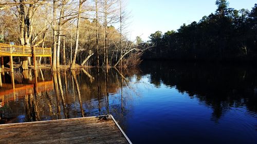 Reflection of trees in lake against sky