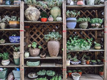 Potted plants for sale on shelf at market stall