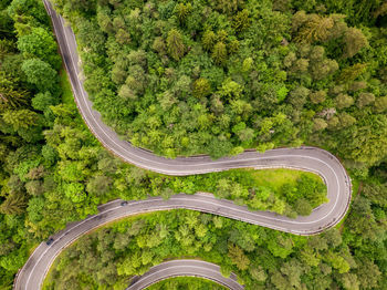 High angle view of road amidst trees