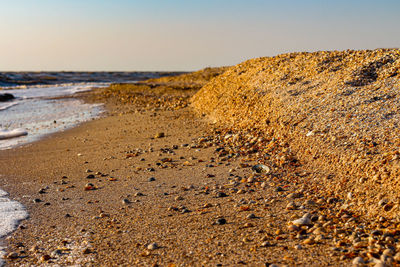 Surface level of rocks on beach against clear sky