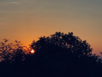 Low angle view of silhouette trees against orange sky