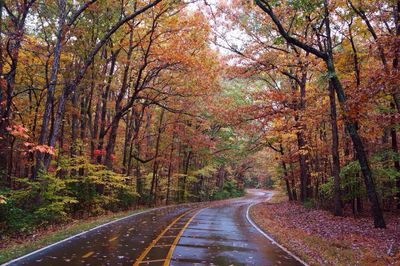 Road amidst trees in forest during autumn