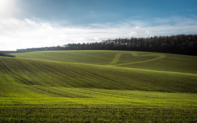 Scenic view of agricultural field against sky