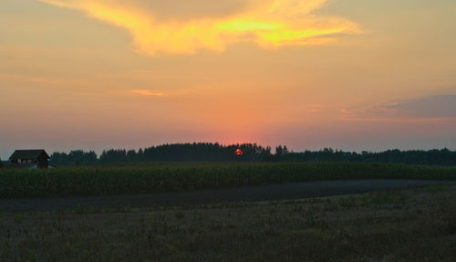 Scenic view of field against sky during sunset