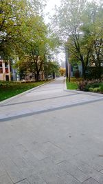 Road amidst trees against sky