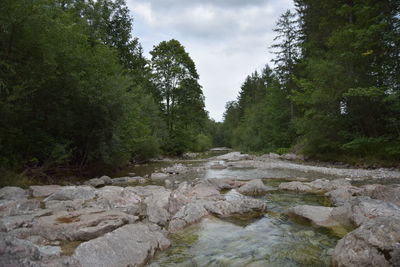 Stream flowing through rocks in forest against sky