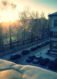 Road passing through a forest