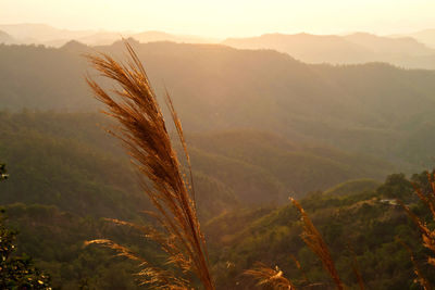 Scenic view of landscape against sky during sunset