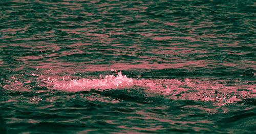 High angle view of people swimming in sea