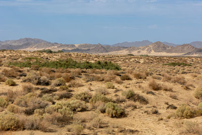 Desert in southern california near the town of 29 palms, close to the joshua tree national park, usa