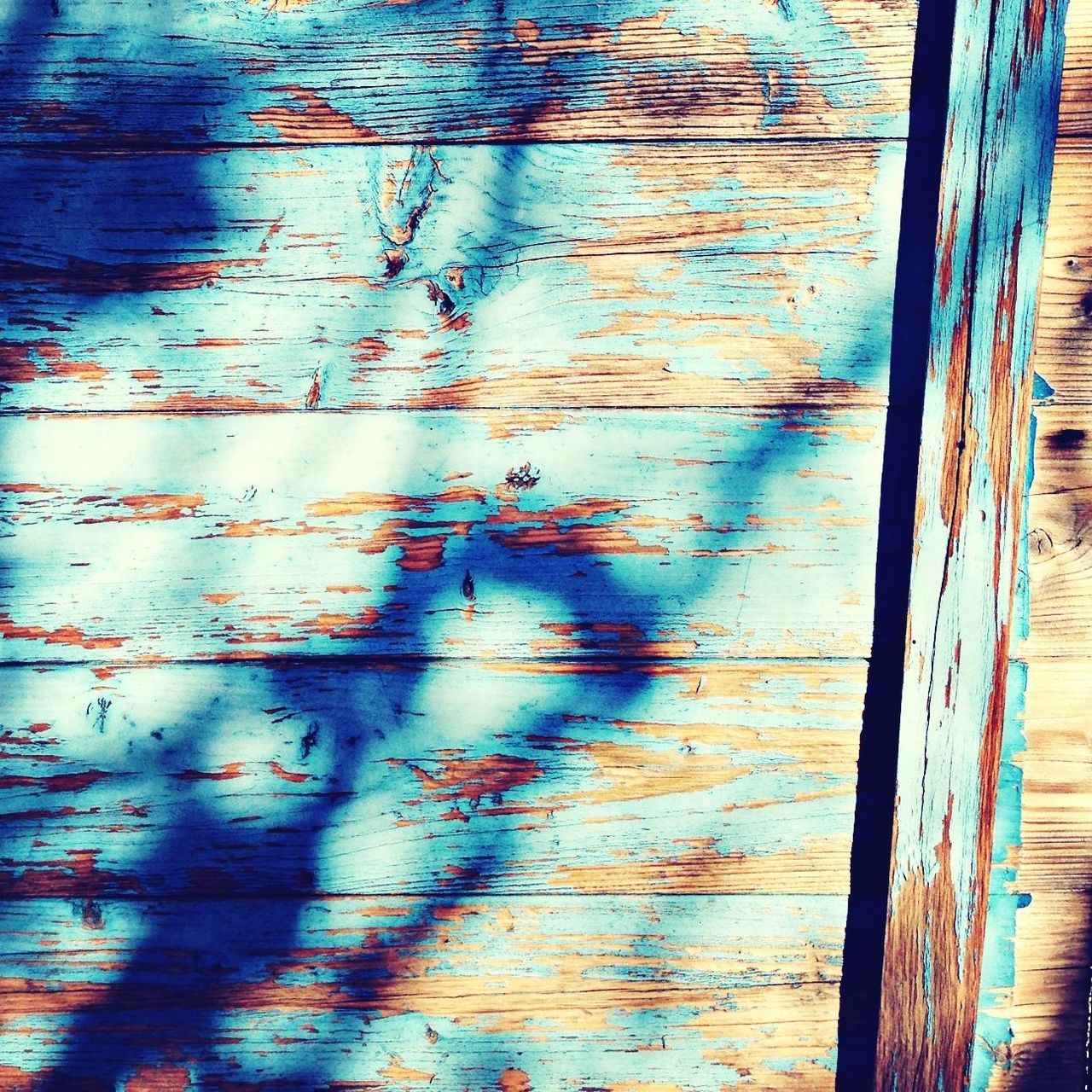 full frame, wood - material, backgrounds, wooden, textured, pattern, plank, wood, weathered, close-up, built structure, door, wall - building feature, indoors, old, architecture, day, blue, wall, closed