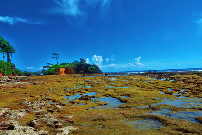 Scenic view of beach against blue sky