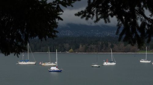 Boats in sea