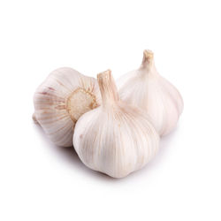 Close-up of garlic on white background