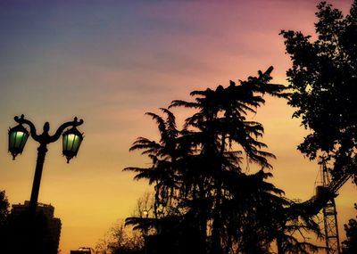 Silhouette trees against sky during sunset