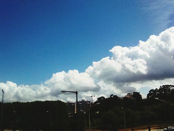 Trees against blue sky