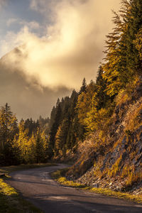 Road amidst trees against sky during sunset