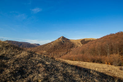 Scenic view of landscape against blue sky