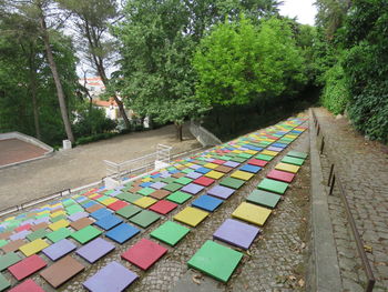 Multi colored wet umbrella by trees