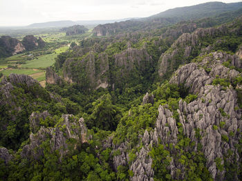 High angle view of trees on landscape against sky