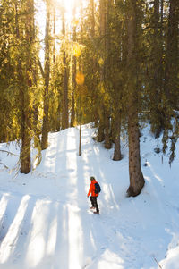 Hiker walking in snow covered forest