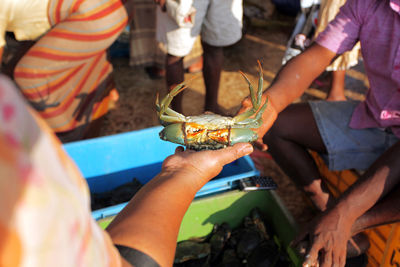 Close-up of woman holding crab at market