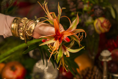 Close-up of hand holding red flowering plant