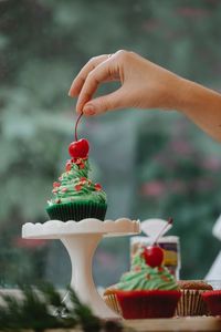 Cropped hand of woman holding christmas cake