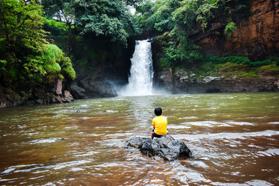 View of waterfall in forest