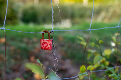 Close-up of red heart shape hanging on fence