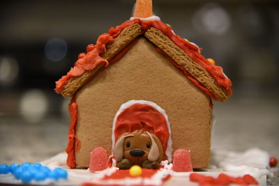 In the gingerbread doghouse