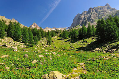 Scenic view of mountains against clear sky