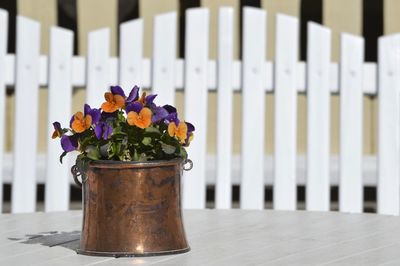 Close-up of flower pot on table