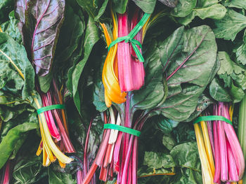 Close-up of multi colored leafy greens for sale in market