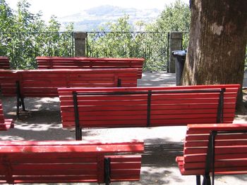 Empty bench by fence against trees