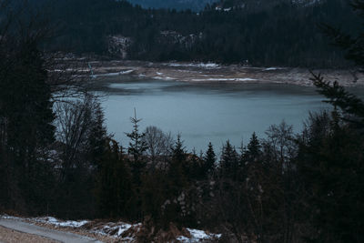 Scenic view of lake in forest during winter