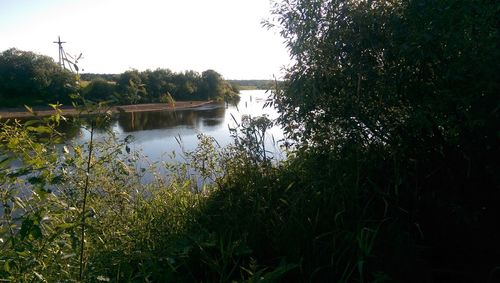 Reflection of trees in lake against sky